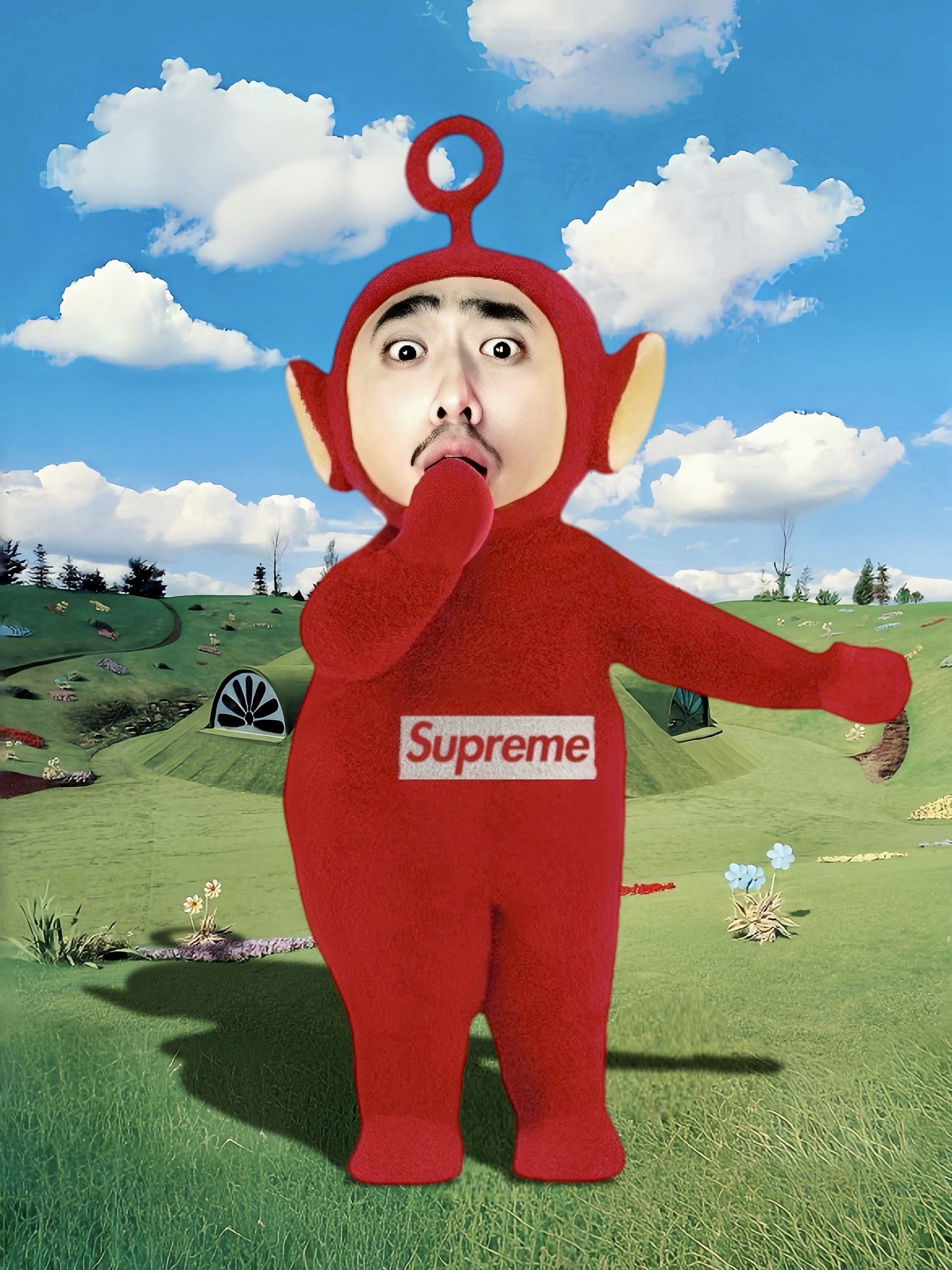 Pop Mart Teletubbies Say Hello Series Figures Sealed Case Po's Happy Flower (Opened Case), Pop Mart Teletubbies Energetic Series Po (Opened Case) 착용 스타일