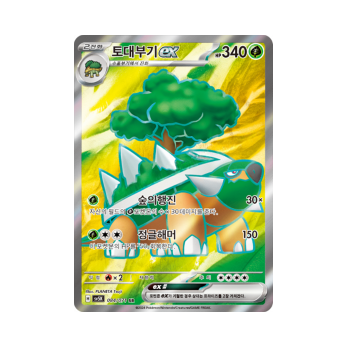 포켓몬 TCG 토대부기 ex SR 와일드포스 (한글판)(Pokemon TCG Torterra ex SR Wild Force (Korean Ver.)) - 1