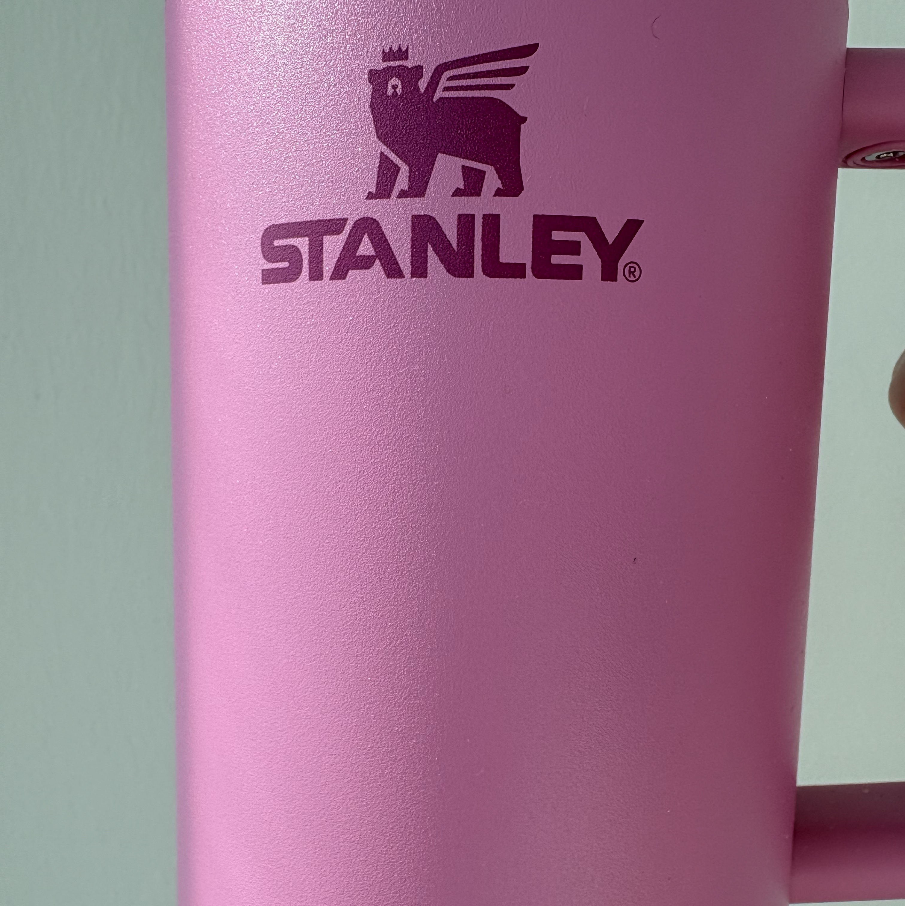 Stanley The Quencher H2.0 Flowstate Tumbler 887ml Peony 착용 스타일