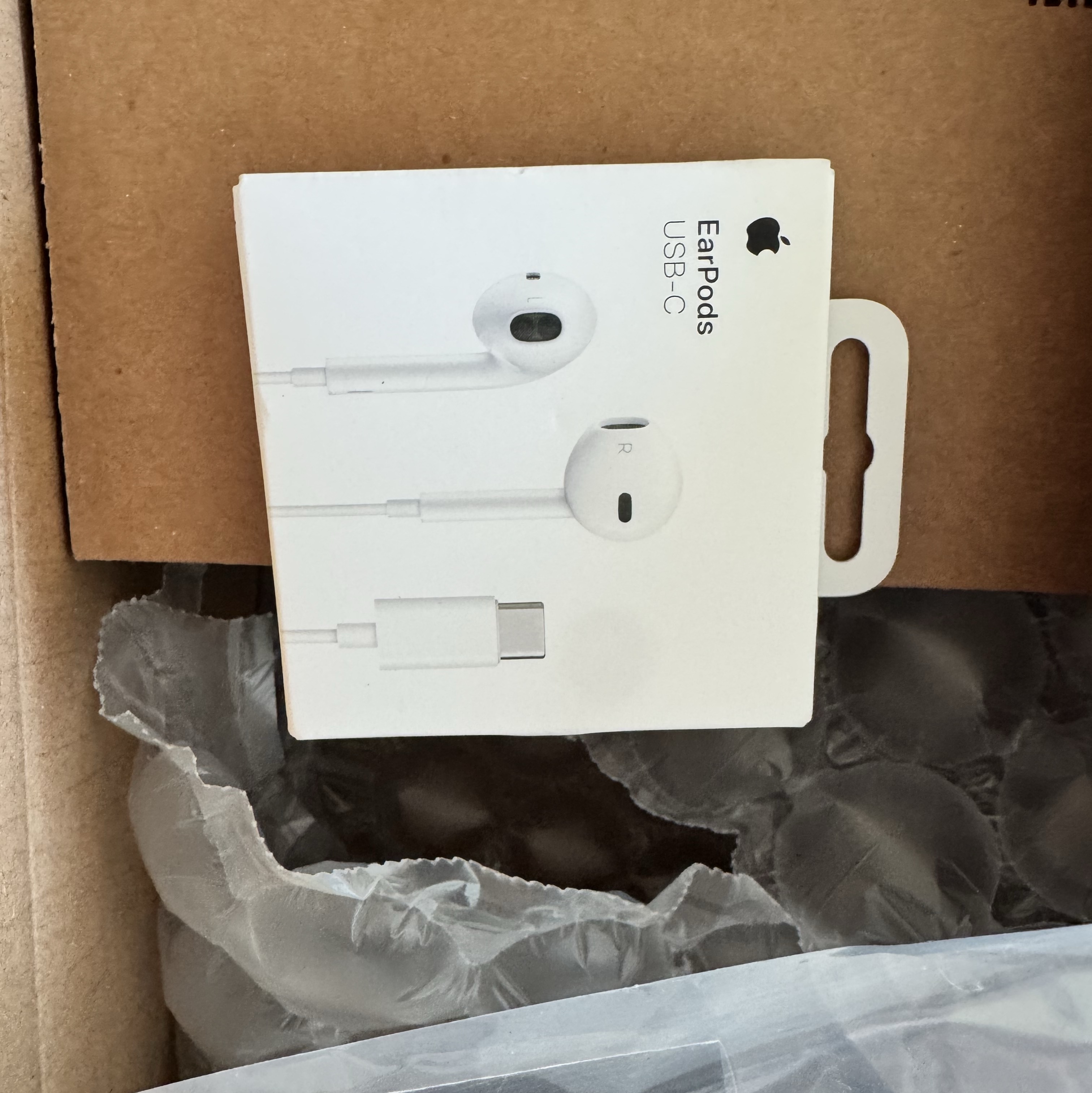 Apple EarPods USB-C Connector (Korean Ver.) 착용 스타일