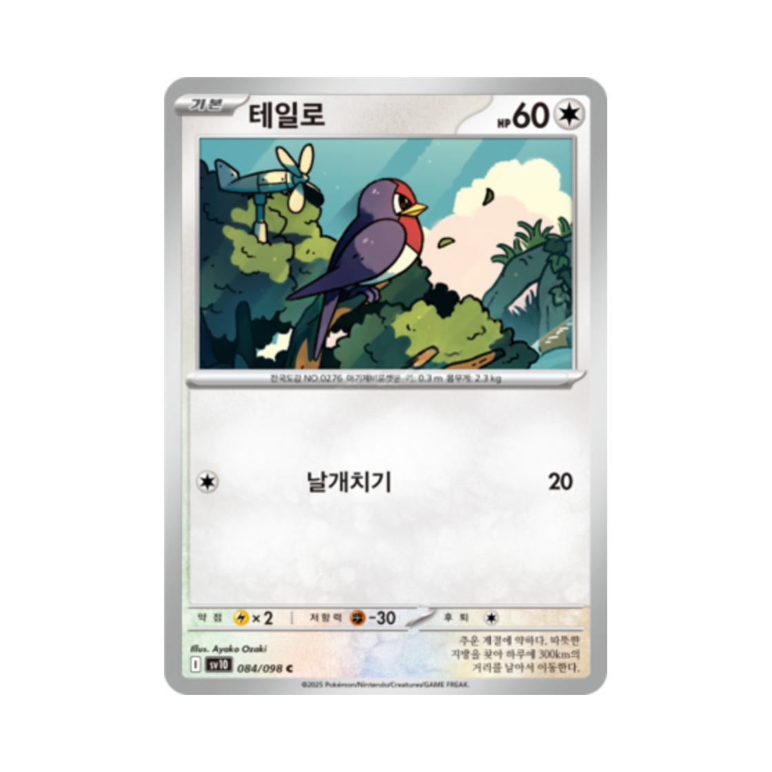 포켓몬 TCG 테일로 C 로켓단의 영광 (한글판)(Pokemon TCG Taillow C Glory of Team Rocket (Korean Ver.)) - 1
