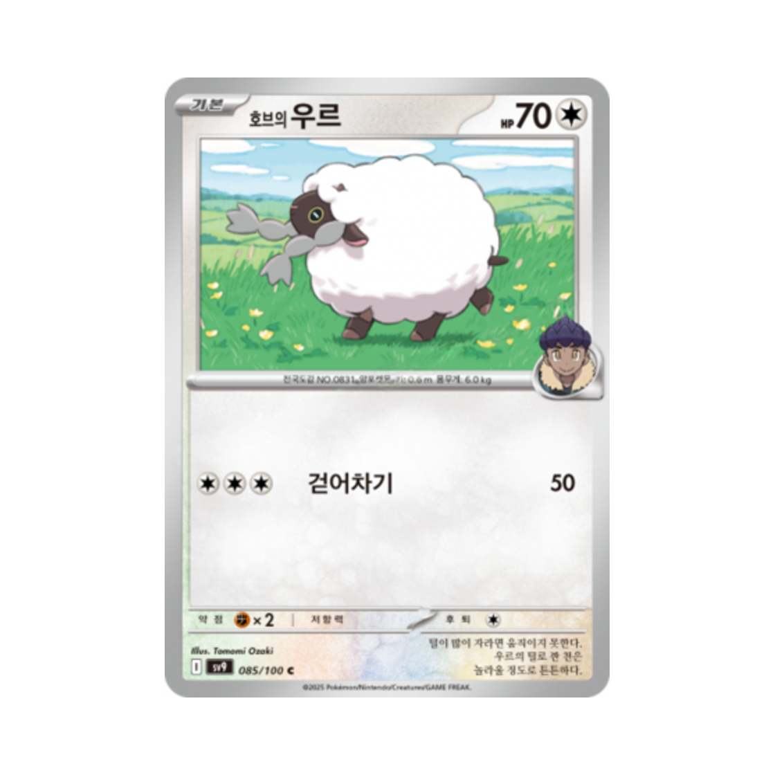 포켓몬 TCG 호브의 우르 C 배틀파트너즈 (한글판)(Pokemon TCG Hop's Wooloo C Battle Partners (Korean Ver.)) - 1