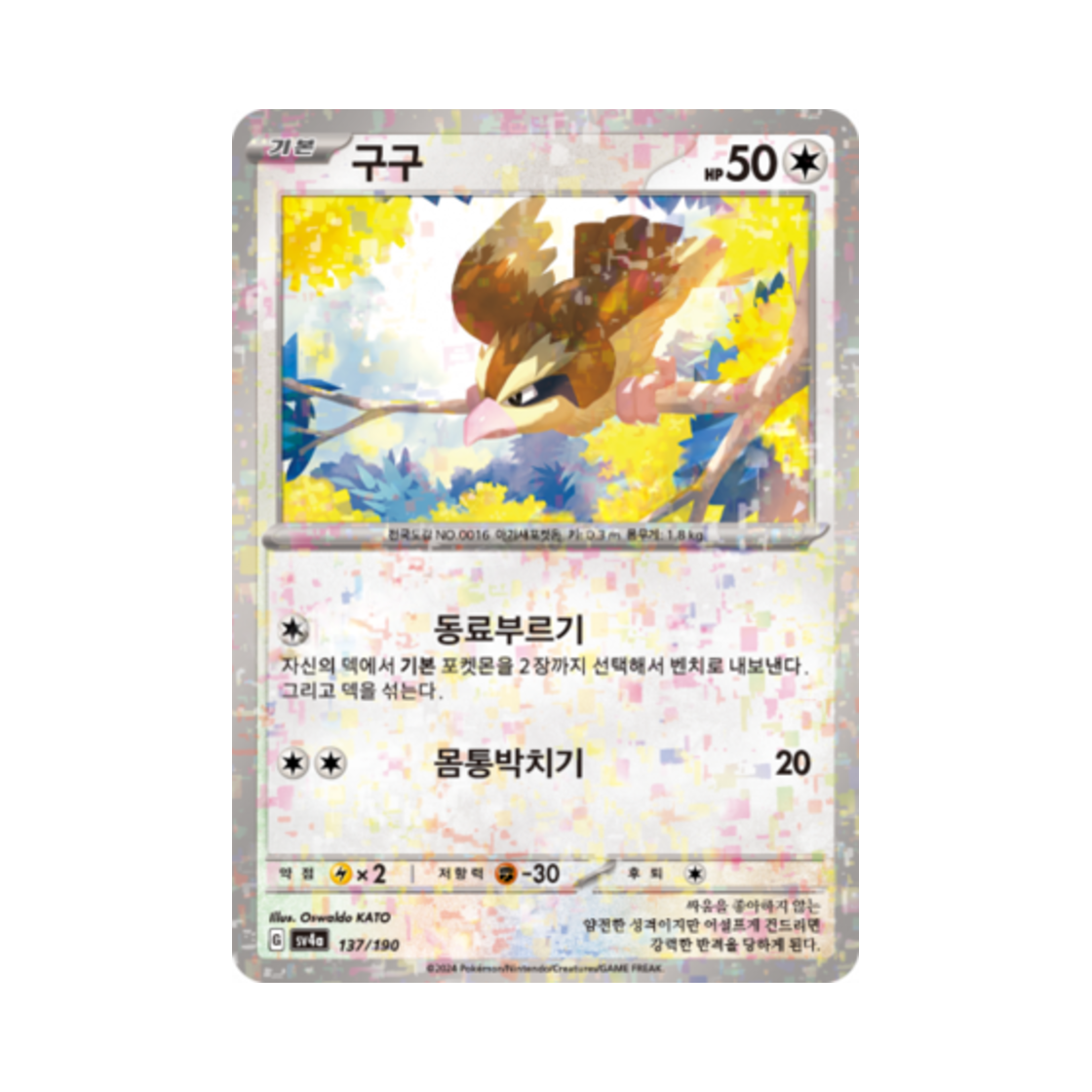 포켓몬 TCG 구구 미러 샤이니트레저 ex (한글판)(Pokemon TCG Pidgey Mirror Shiny Treasure ex (Korean Ver.)) - 1