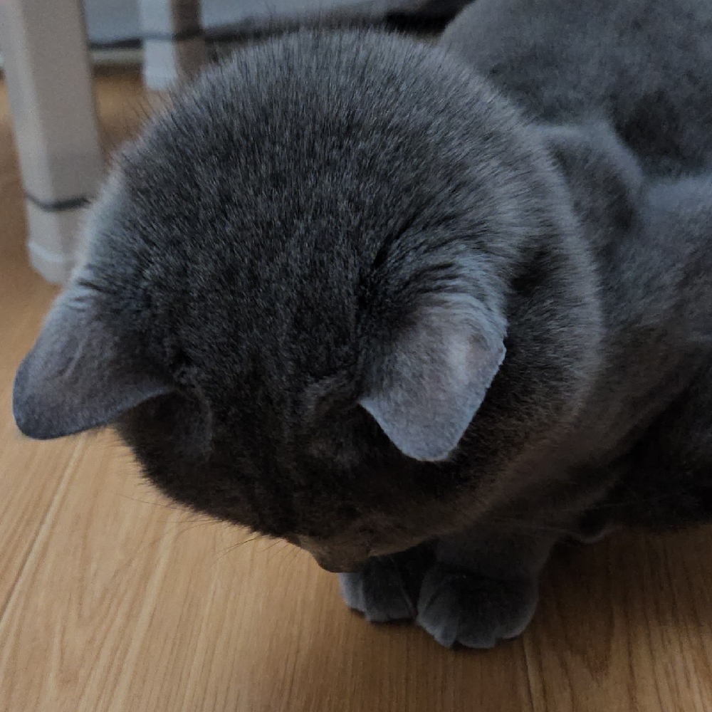 관심 유저 프로필 이미지