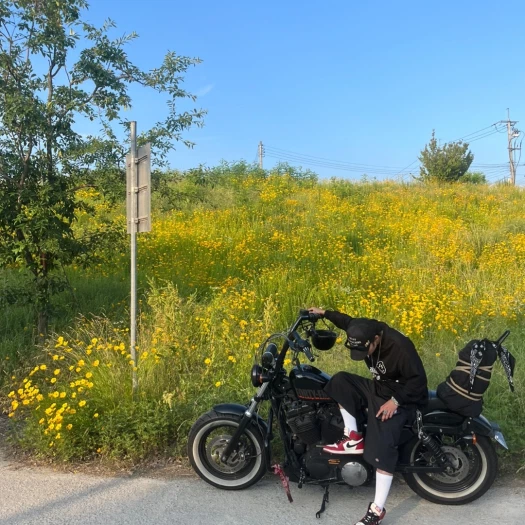스타일 카드