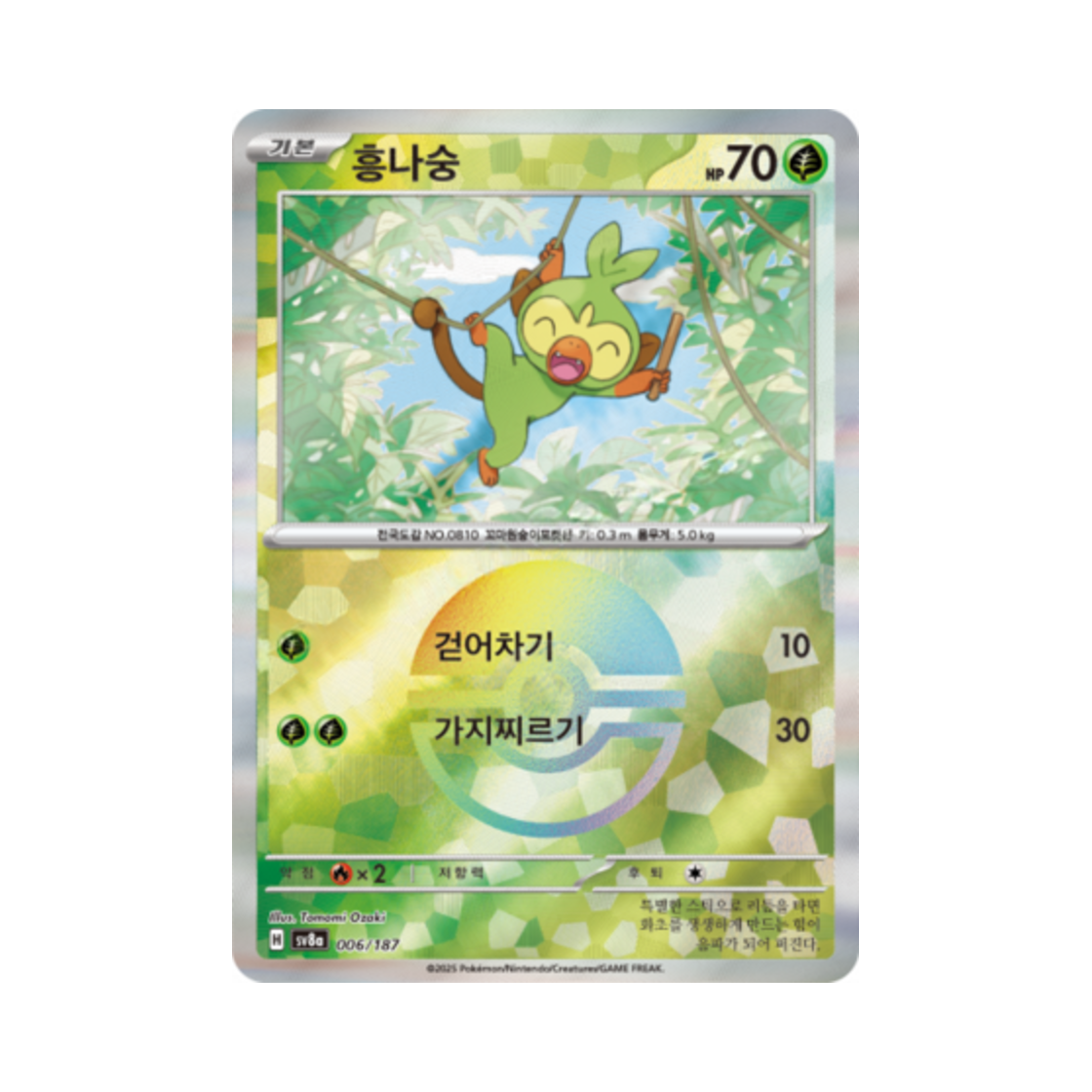 포켓몬 TCG 흥나숭 몬스터볼 미러 테라스탈 페스타 ex (한글판)(Pokemon TCG Grookey Monsterball Mirror Terastal Fest ex (Korean Ver.)) - 1