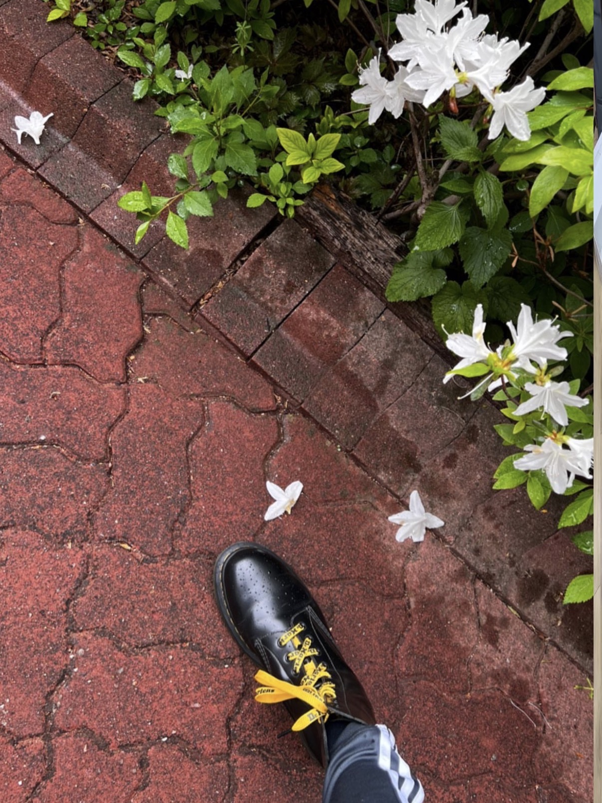 (W) Dr. Martens 1490 Smooth Leather High Lace Up Boots Black 착용 스타일