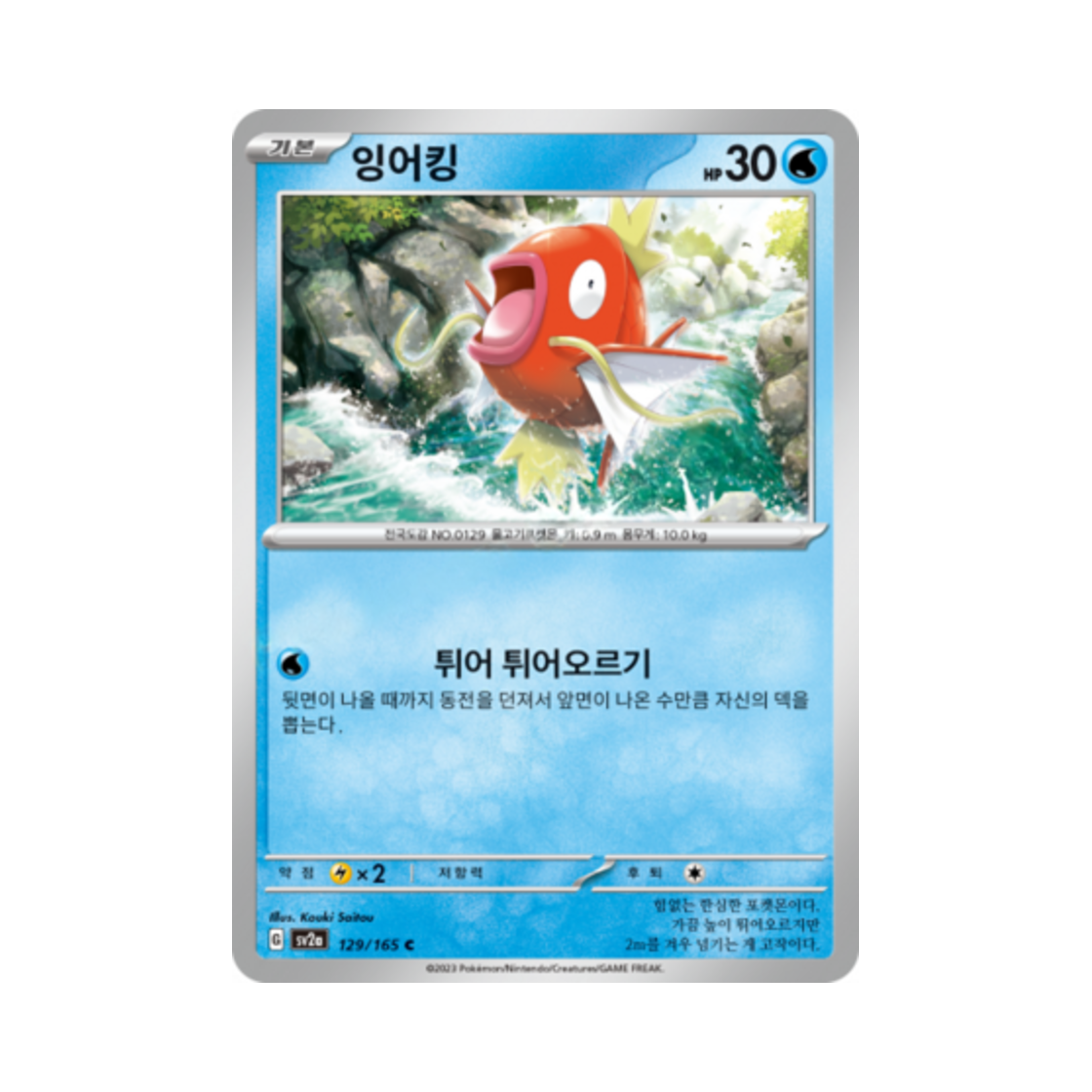 포켓몬 TCG 잉어킹 C 포켓몬 카드 151 (한글판)(Pokemon TCG Magikarp C Pokemon Card 151 (Korean Ver.)) - 1