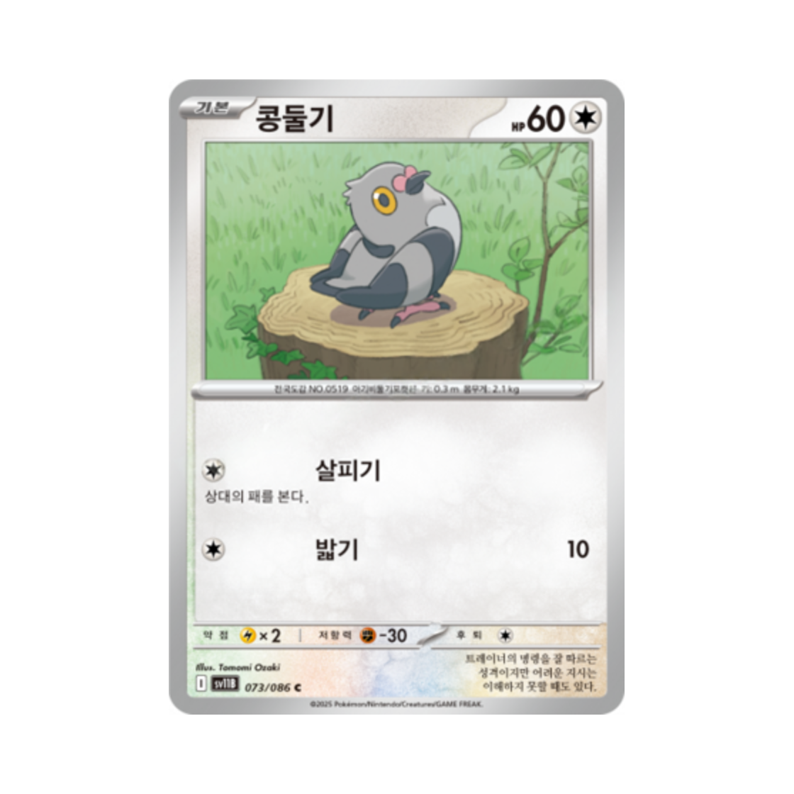 포켓몬 TCG 콩둘기 C 블랙볼트 (한글판)(Pokemon TCG Pidove C Black Bolt (Korean Ver.)) - 1
