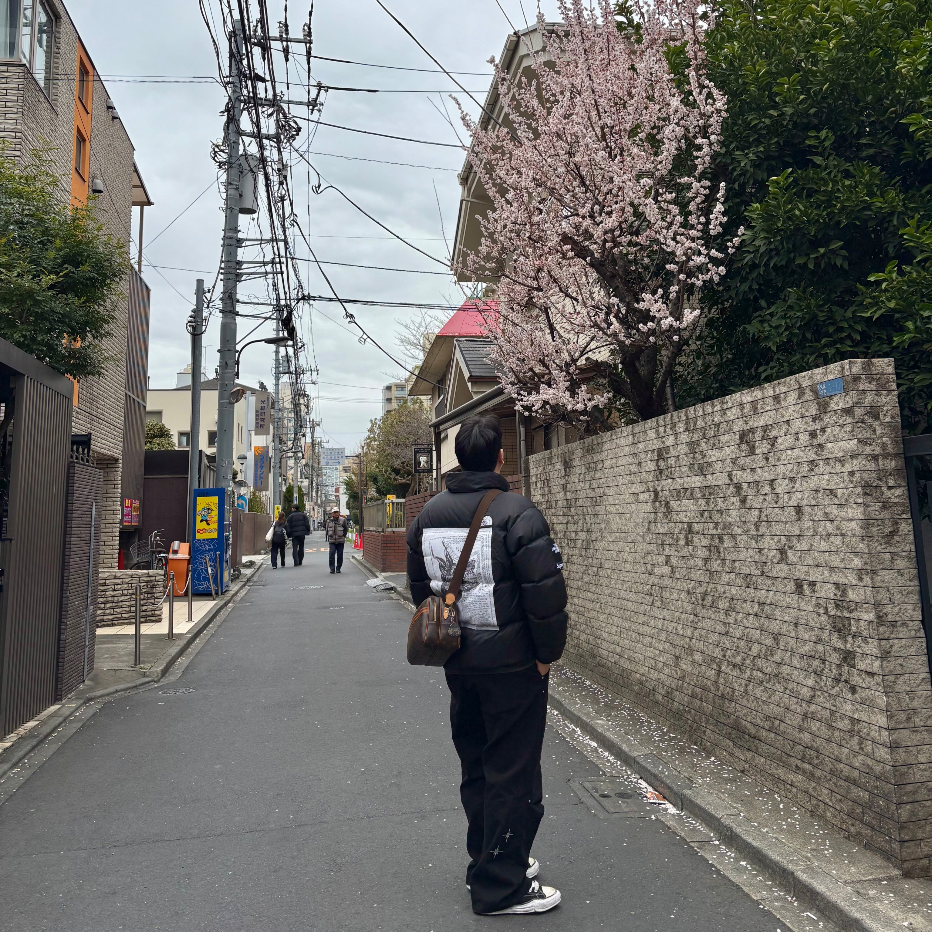Maison Mihara Yasuhiro Peterson OG Sole Canvas Low Sneakers Black, Supreme x The North Face Nuptse Jacket Black - 24FW 착용 스타일 - 1