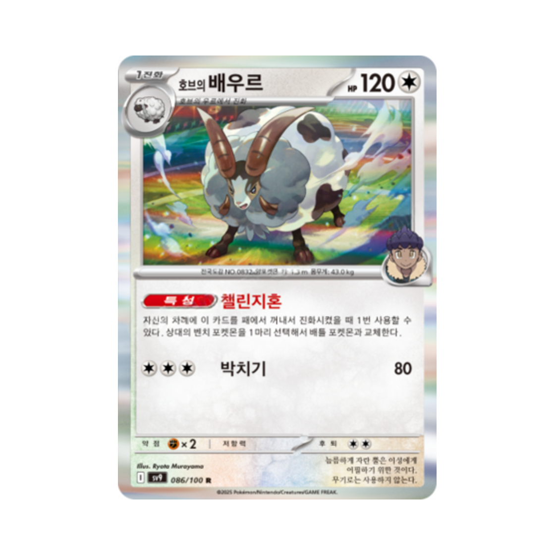 포켓몬 TCG 호브의 배우르 R 배틀파트너즈 (한글판)(Pokemon TCG Hop's Dubwool R Battle Partners (Korean Ver.)) - 1