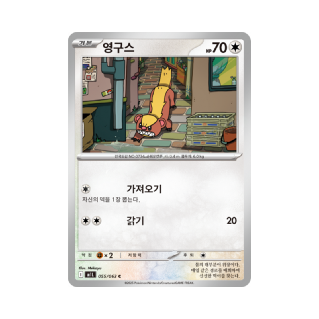 포켓몬 TCG 영구스 C 메가브레이브 (한글판)(Pokemon TCG Yungoos C Mega Brave (Korean Ver.)) - 1