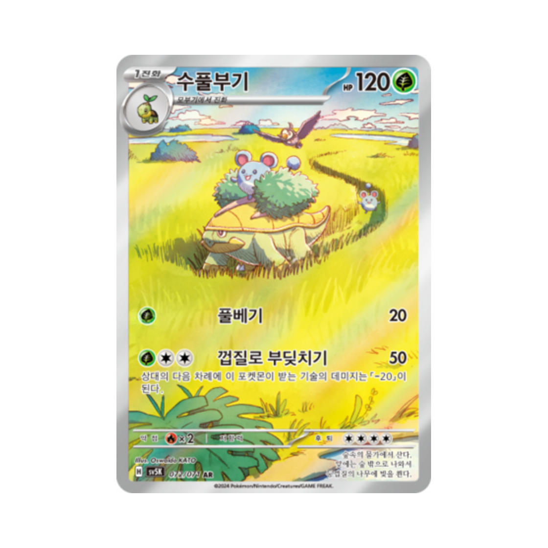포켓몬 TCG 수풀부기 AR 와일드포스 (한글판)(Pokemon TCG Grotle AR Wild Force (Korean Ver.))