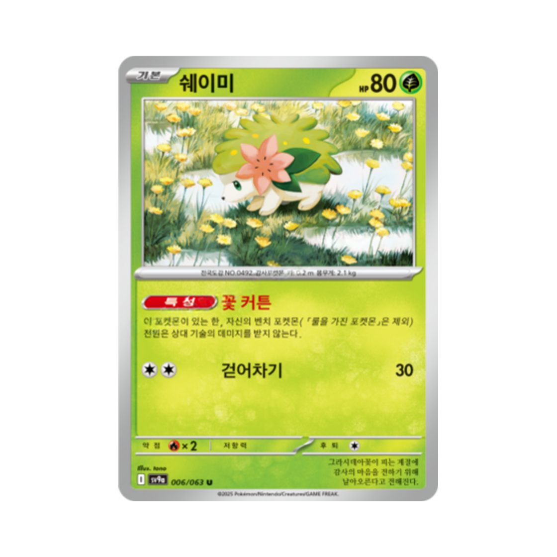 포켓몬 TCG 쉐이미 U 열풍의 아레나 (한글판)(Pokemon TCG Shaymin U Hot Air Arena (Korean Ver.)) - 1