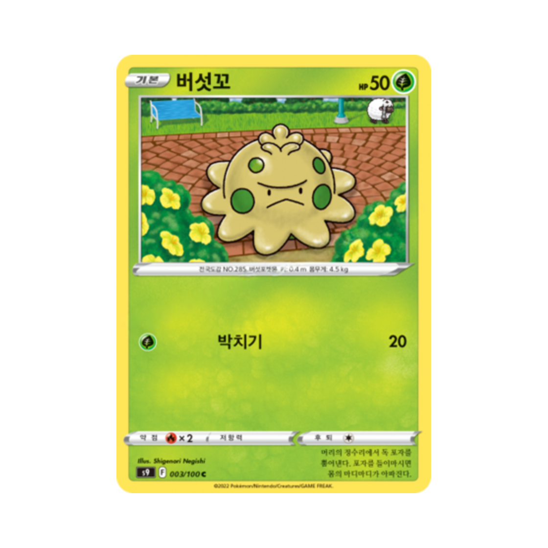포켓몬 TCG 버섯꼬 C 스타버스 (한글판)(Pokemon TCG Shroomish C Star Birth (Korean Ver.)) - 1