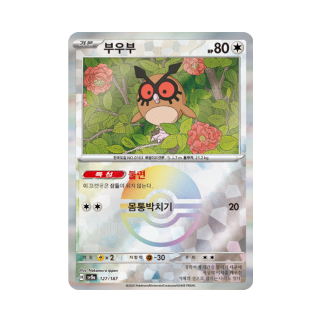 포켓몬 TCG 부우부 몬스터볼 미러 테라스탈 페스타 ex (한글판)(Pokemon TCG Hoothoot Monsterball Mirror Terastal Fest ex (Korean Ver.)) - 1
