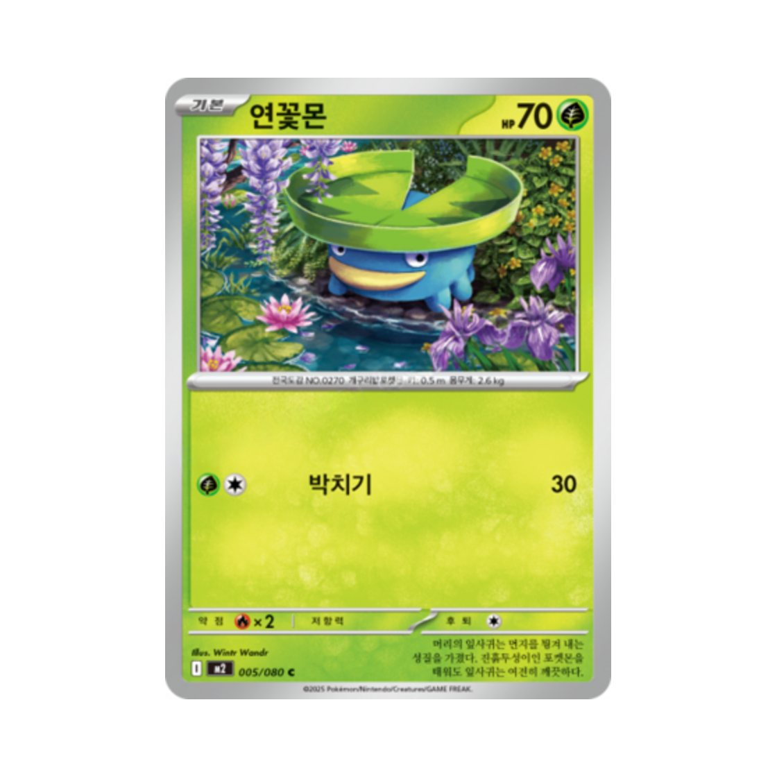포켓몬 TCG 연꽃몬 C 메가 확장팩 인페르노 X (한글판)(Pokemon TCG Lotad C Inferno X (Korean Ver.)) - 1