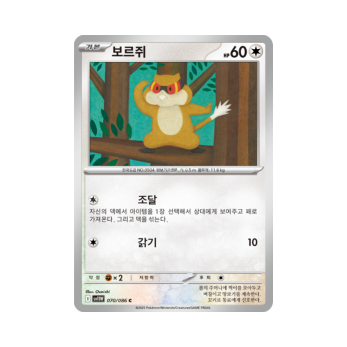 포켓몬 TCG 보르쥐 C 화이트플레어 (한글판)(Pokemon TCG Patrat C White Flare (Korean Ver.)) - 1