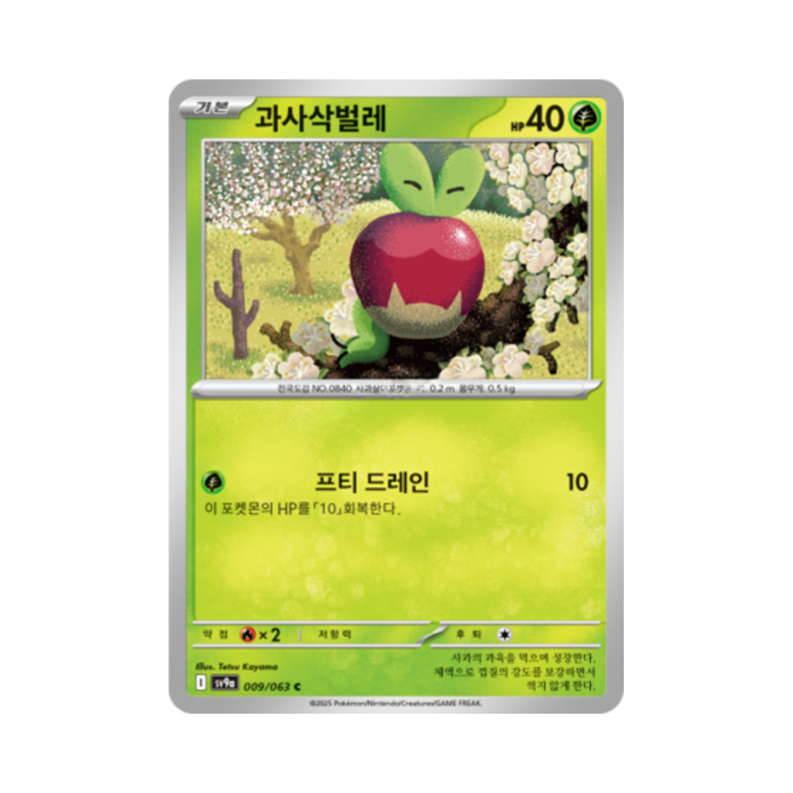포켓몬 TCG 과사삭벌레 C 열풍의 아레나 (한글판)(Pokemon TCG Applin C Hot Air Arena (Korean Ver.))