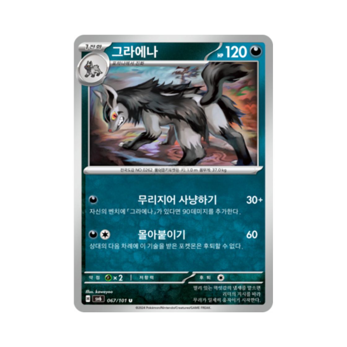 포켓몬 TCG 그라에나 U 변환의 가면 (한글판)(Pokemon TCG Mightyena U Mask of Change (Korean Ver.))