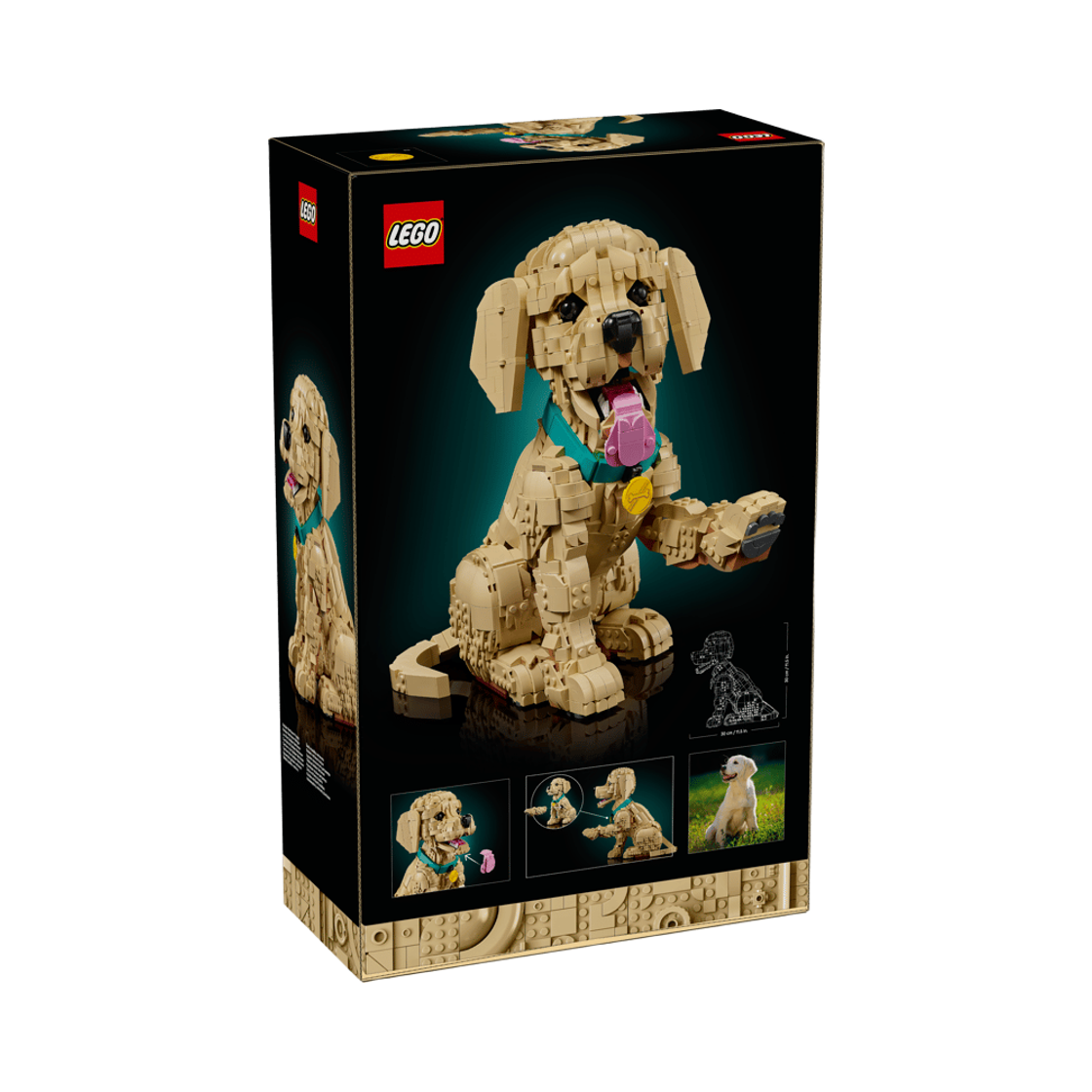 레고 아이콘 골든 리트리버 강아지(Lego Icons Golden Retriever Puppy) - 2