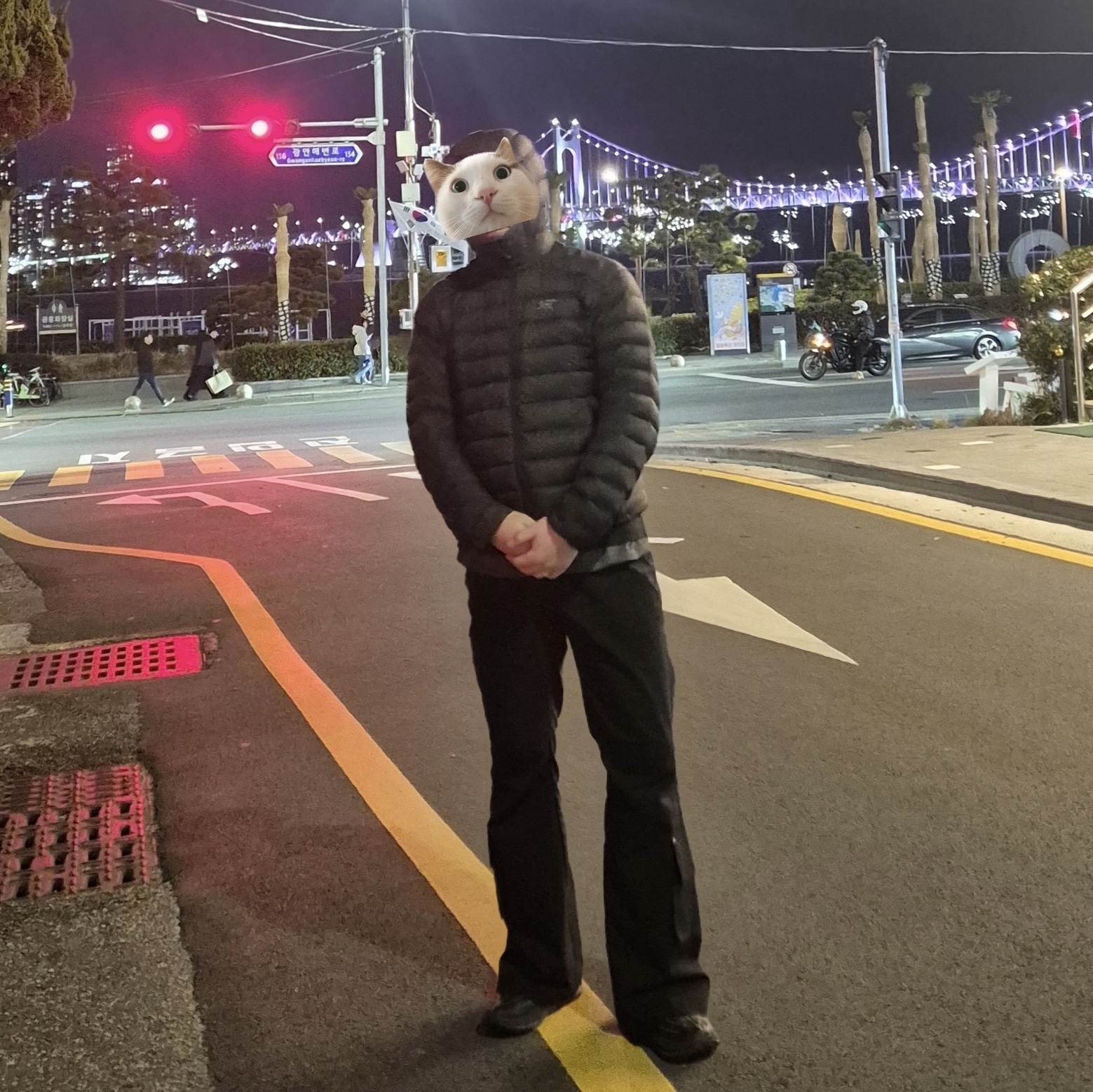 Arc'teryx Cerium Hoody Black, Hoka x Satisfy Mafate Speed 4 Lite Coffee 착용 스타일