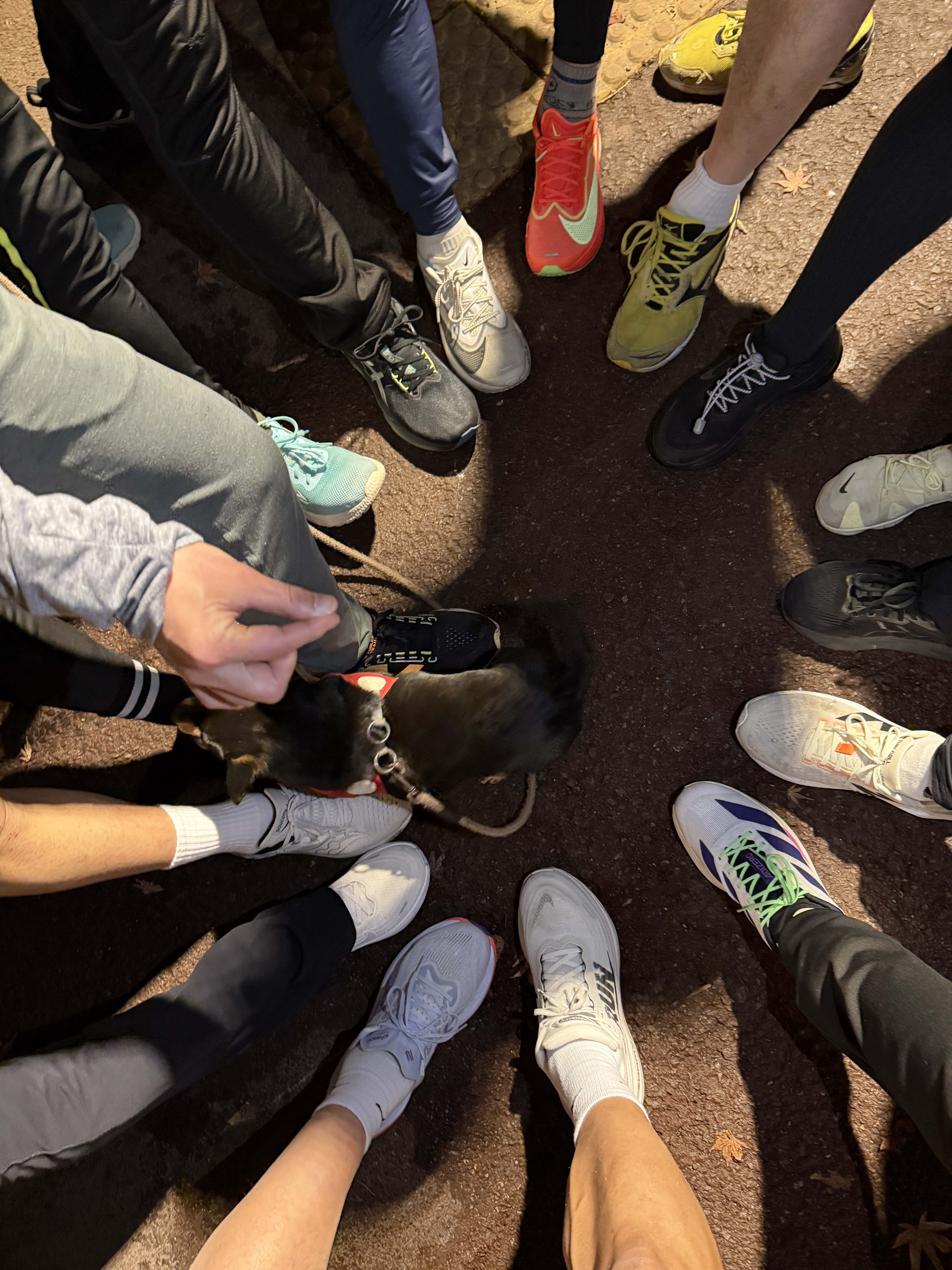 Jordan 1 x Fragment x Union LA High OG SP White Black, Jordan 1 x Travis Scott x Fragment Retro Low OG SP Military Blue 착용 스타일 - 6