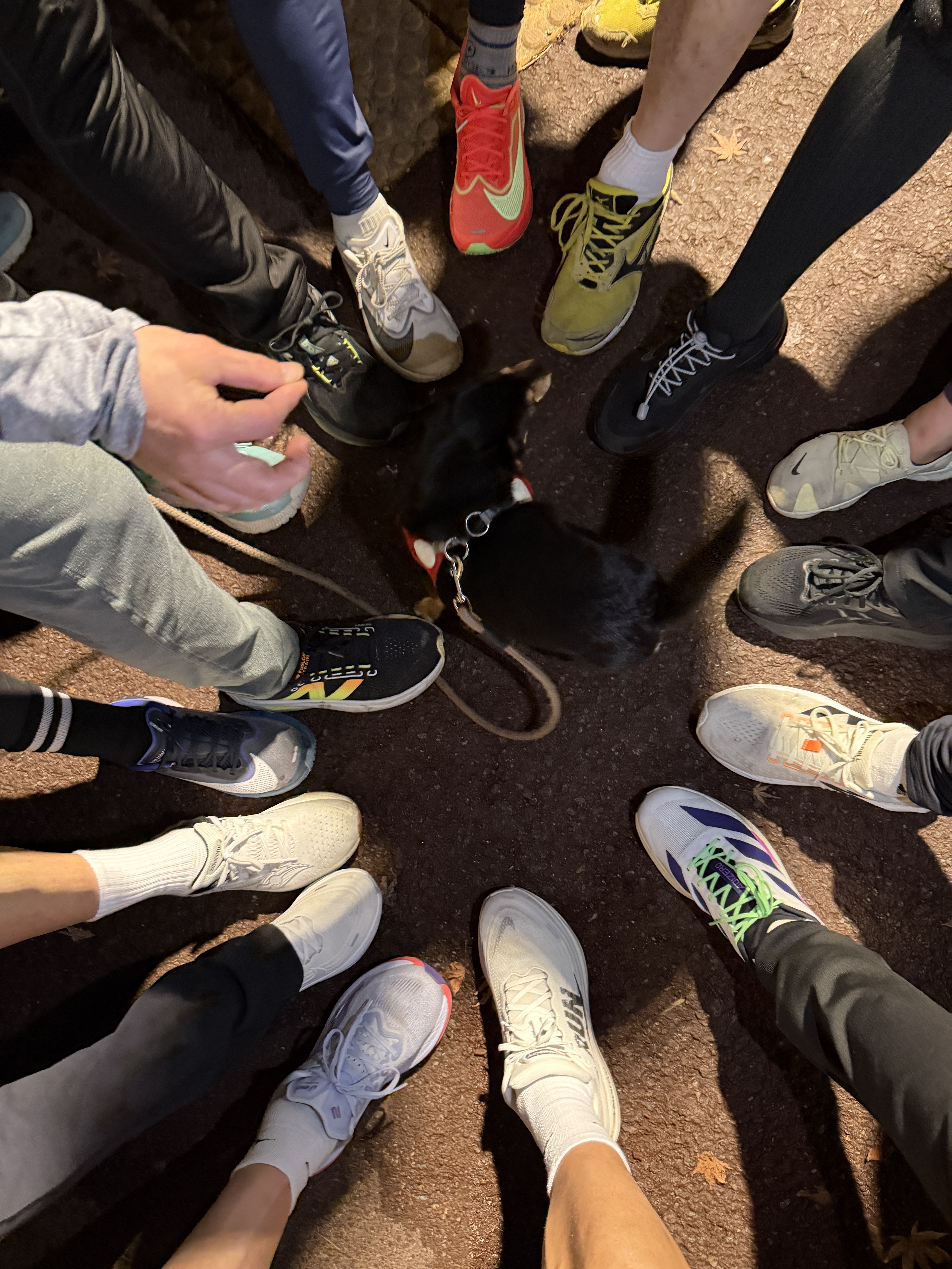 Jordan 1 x Fragment x Union LA High OG SP White Black, Jordan 1 x Travis Scott x Fragment Retro Low OG SP Military Blue 착용 스타일 - 5