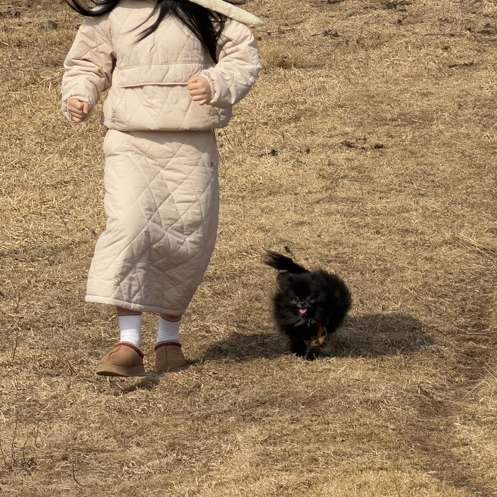 (W) UGG Tazz II Chestnut 착용 스타일