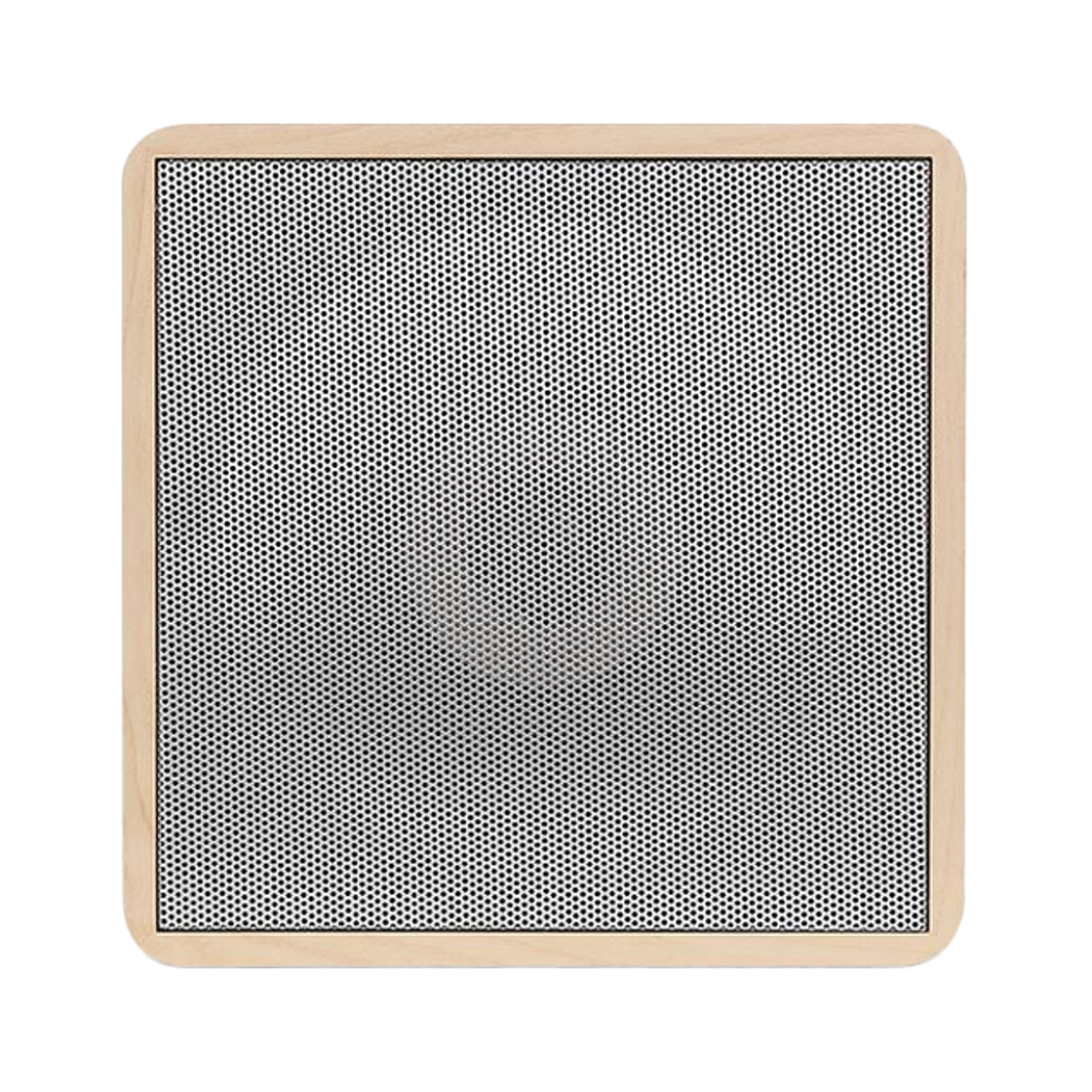 브리츠 BZ-NT22 FM라디오 블루투스 스피커(Britz BZ-NT22 FM Radio Bluetooth Speaker) - 1
