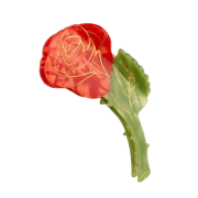 Coucou Suzette Rose Hairclaw