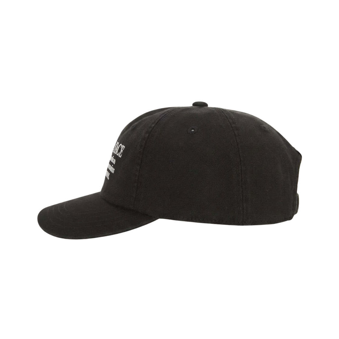 노스페이스 빈티지 플랫 캡 블랙 - 26SS(The North Face Vintage Flat Cap Black - 26SS) - 2
