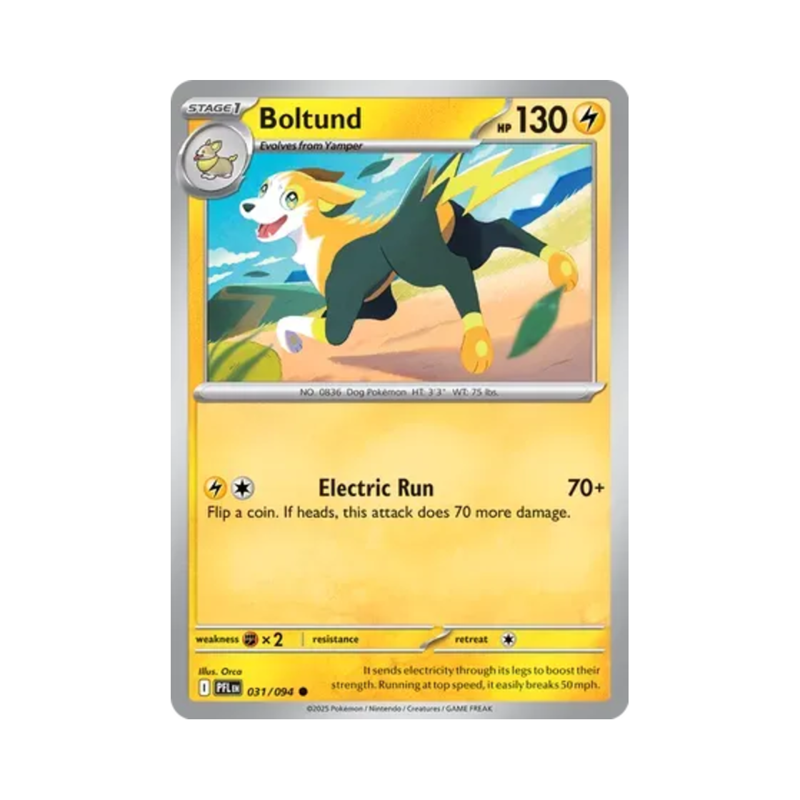 포켓몬 TCG 펄스멍 C 판타스말 플레임즈 (영문판)(Pokemon TCG Boltund C Phantasmal Flames (English Ver.)) - 1