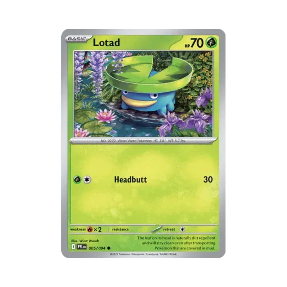 포켓몬 TCG 연꽃몬 C 판타스말 플레임즈 (영문판)(Pokemon TCG Lotad C Phantasmal Flames (English Ver.)) - 1