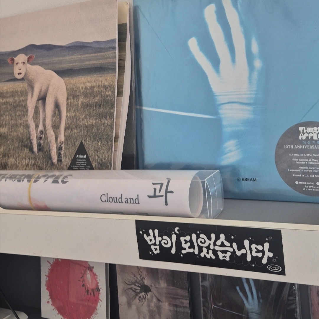 Thornapple 2nd Album Strange Weather 10th Anniversary Edition LP Marble Splatter 착용 스타일