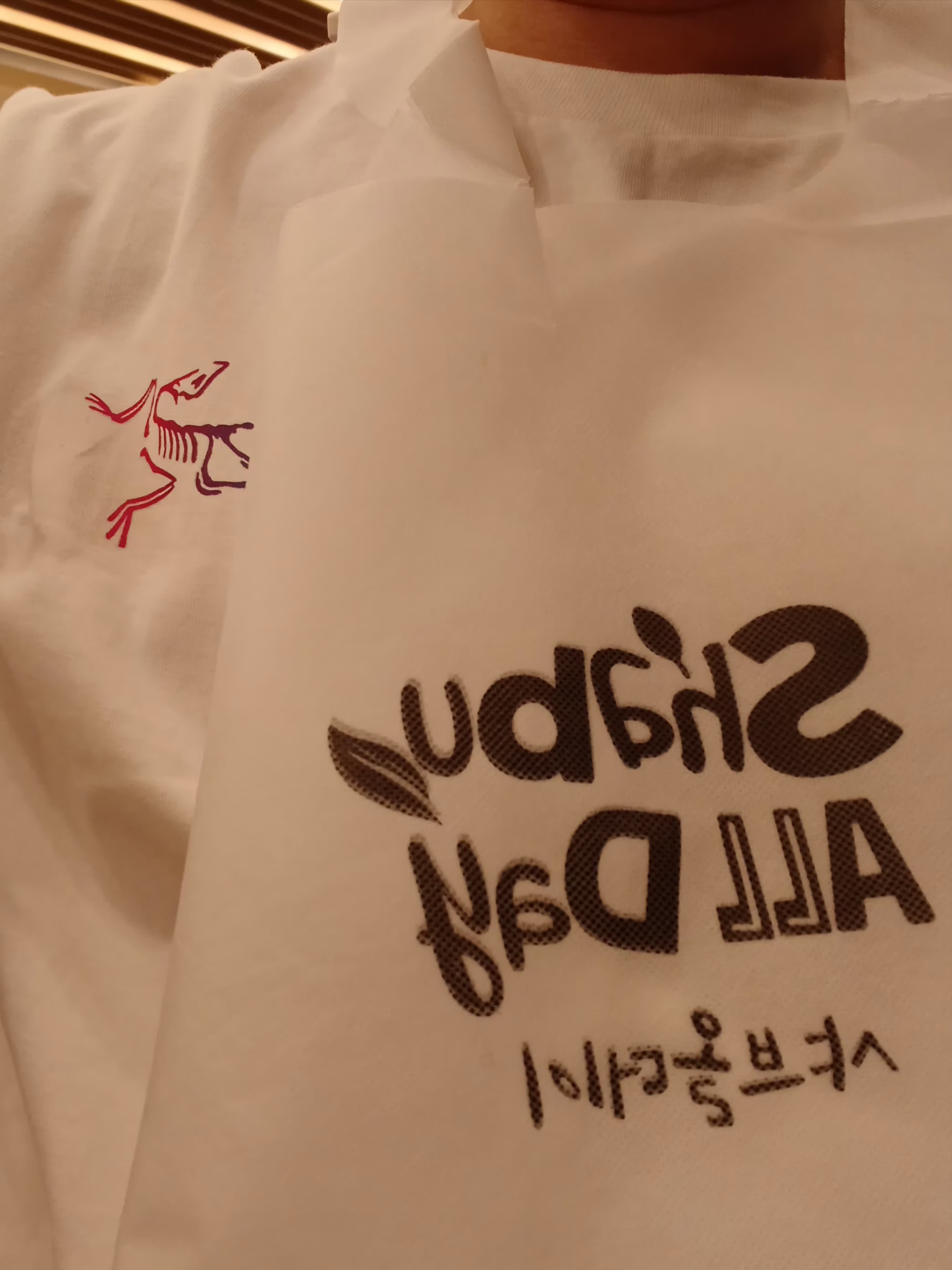 Arc'teryx Kragg Cotton Heatmap LS T-Shirt White Light Multi 착용 스타일 - 1