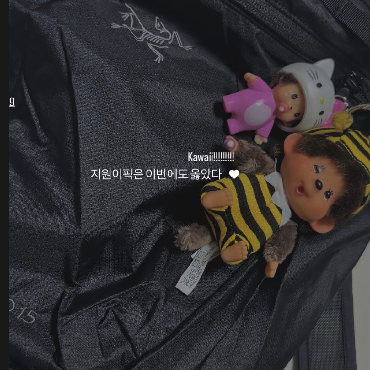 Arc'teryx Heliad 15 Backpack Black 착용 스타일