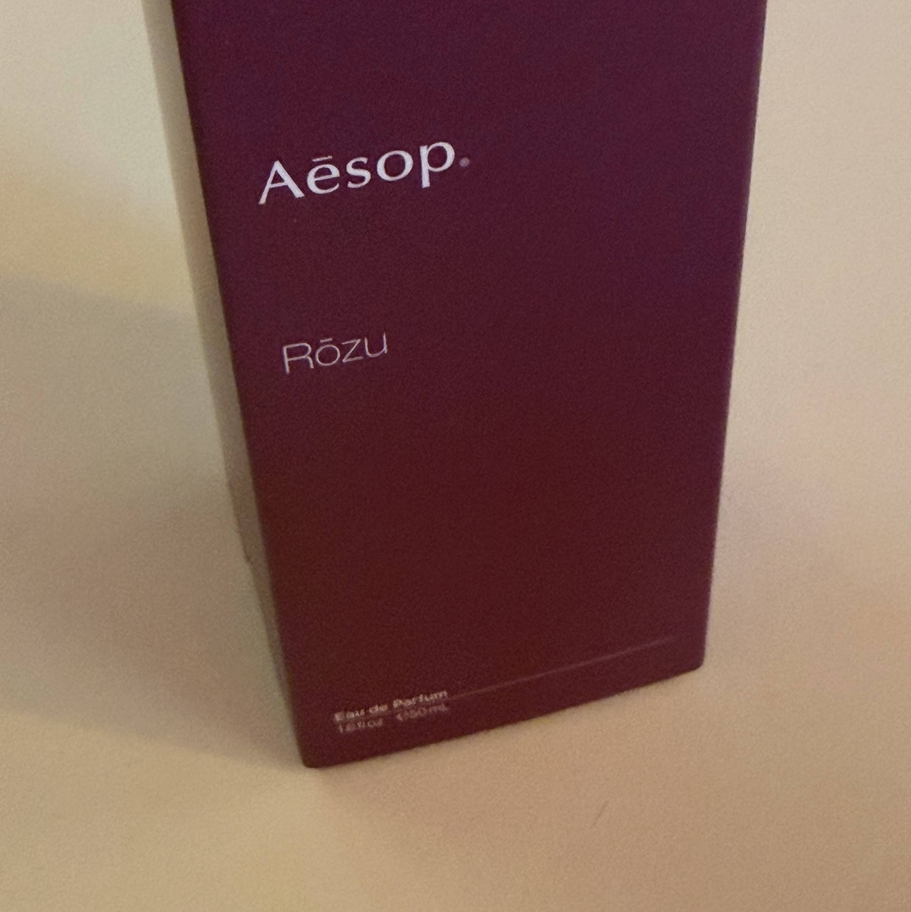 Apple iPhone 17 Pro Max 256GB Silver, Oakley Session Beanie Blackout 착용 스타일 - 2