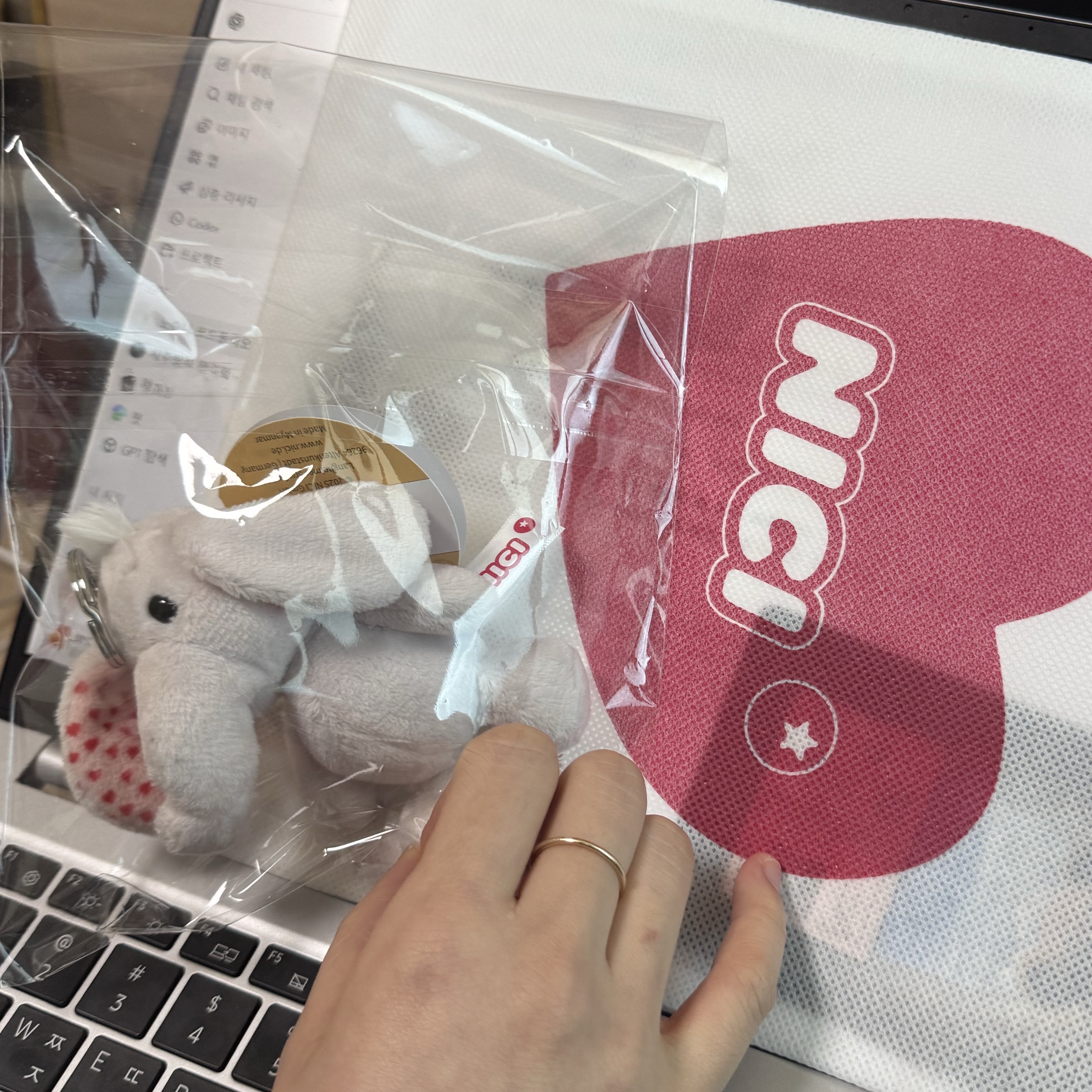 [KREAM 단독] NICI Keyholder Love elephant light grey 10cm GREEN 착용 스타일 - 1