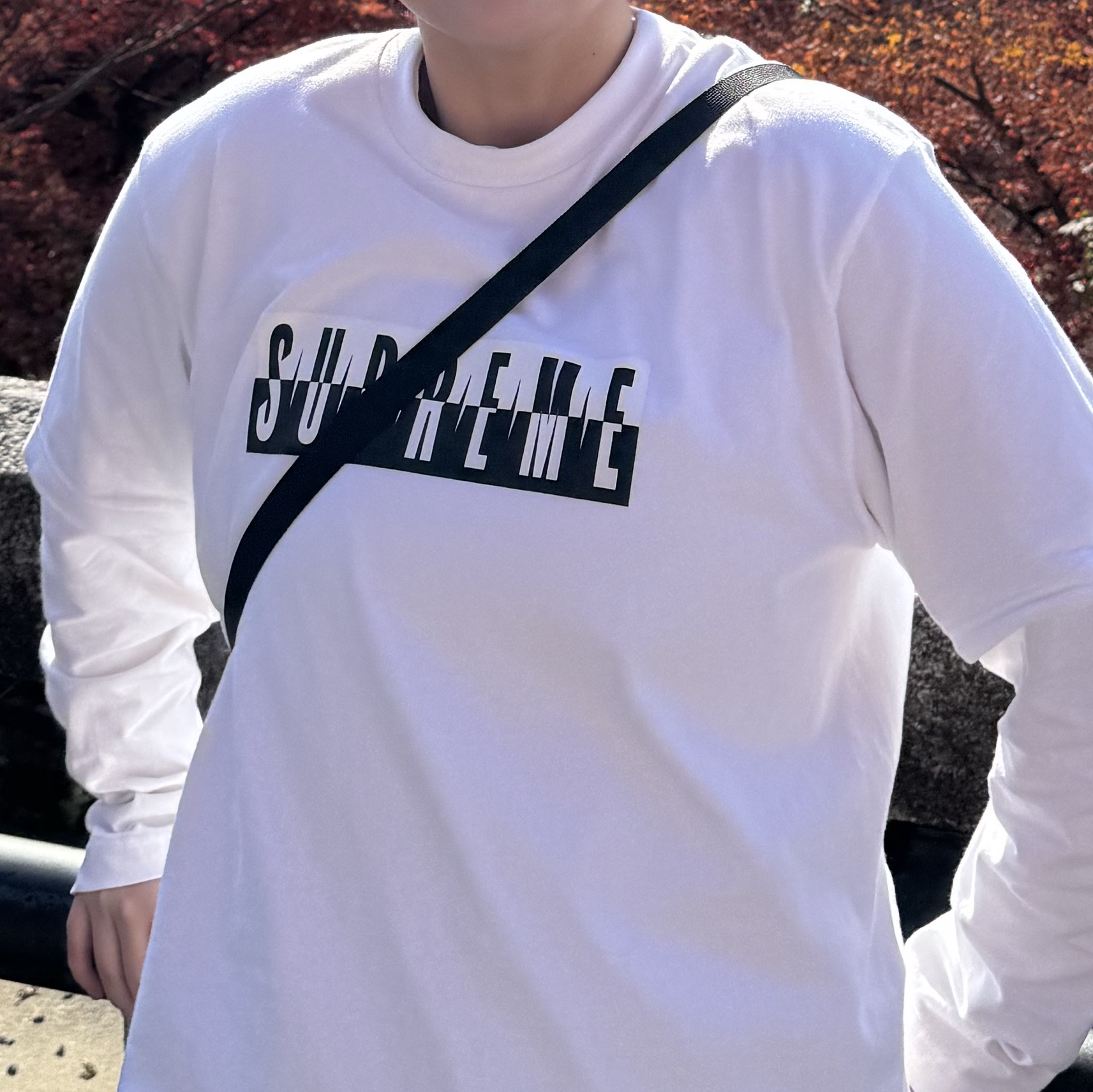 Supreme Split T-Shirt White - 25FW 착용 스타일 - 2
