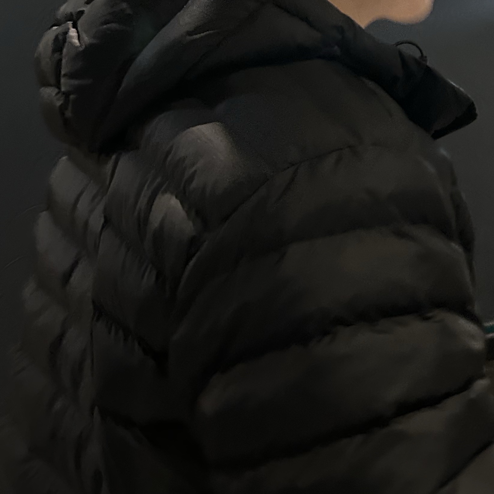 The North Face Ventus On Jacket Black 착용 스타일