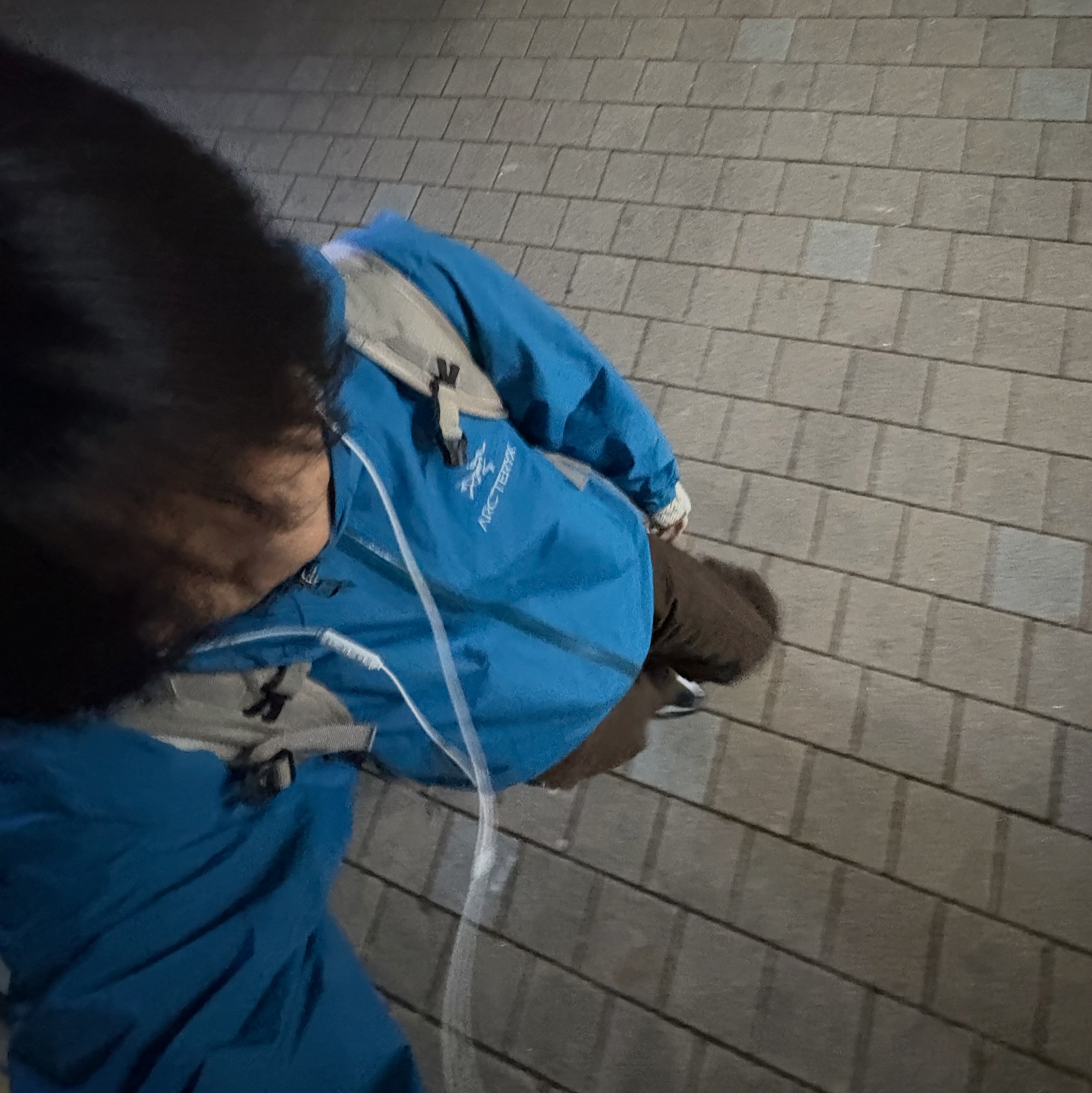 Salomon Trailblazer 10 Grey, Arc'teryx Beta LT Jacket Blue Tetra 착용 스타일