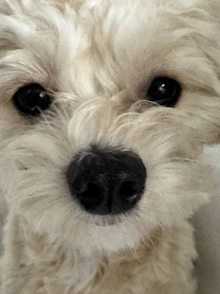 관심 유저 프로필 이미지