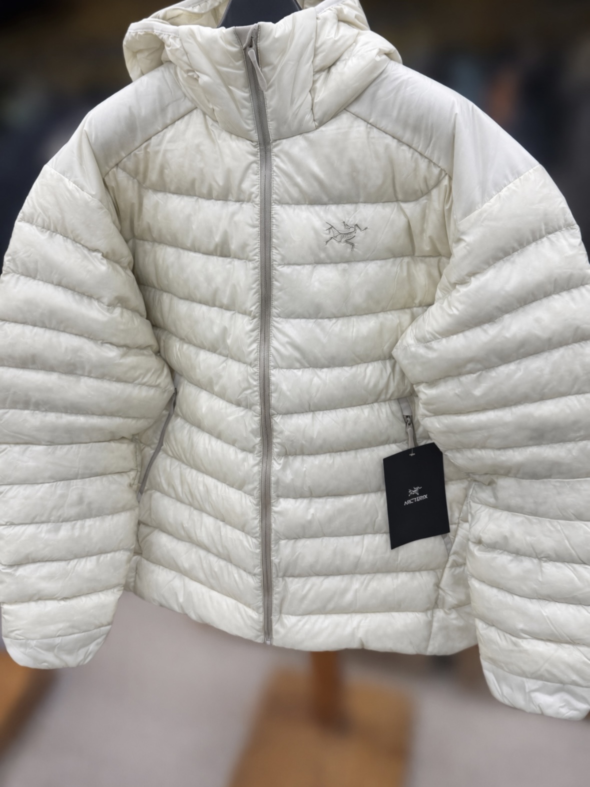 Arc'teryx Cerium Hoody Sea Salt 착용 스타일