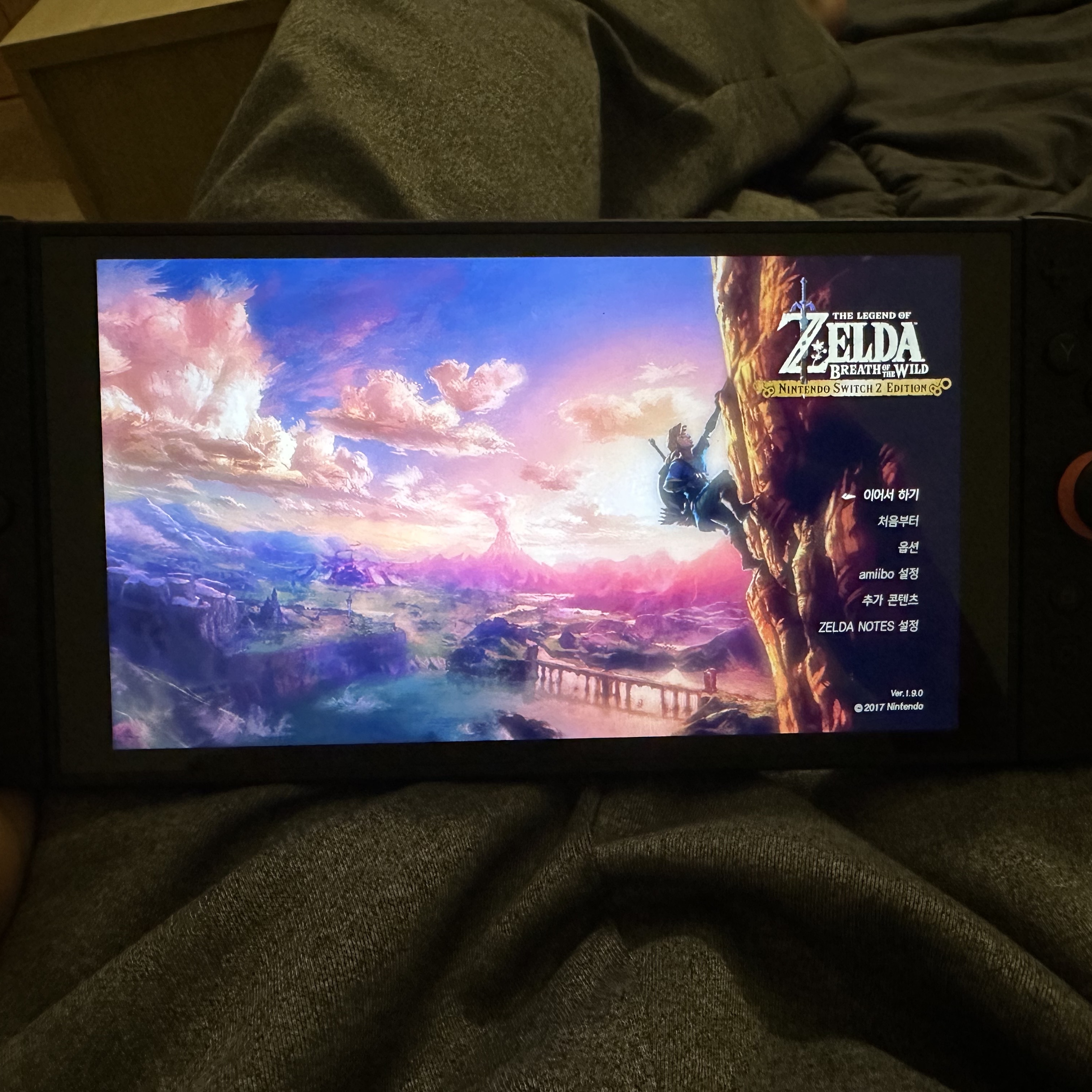 Nintendo Switch 2 Black (Korean Ver.), Nintendo Switch Animal Crossing New Horizons 착용 스타일 - 1