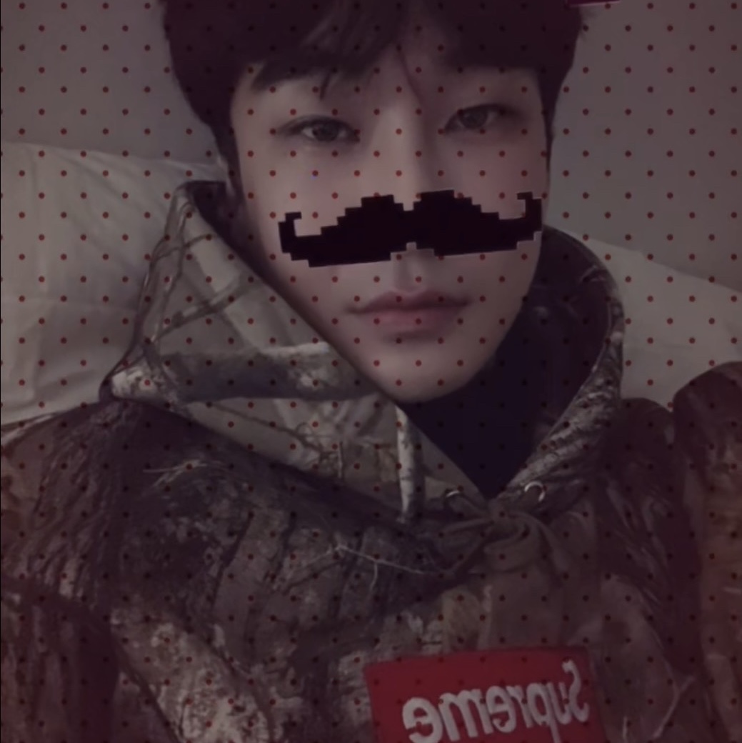 Supreme Box Logo Hooded Sweatshirt Realtree AP Camo - 25FW 착용 스타일