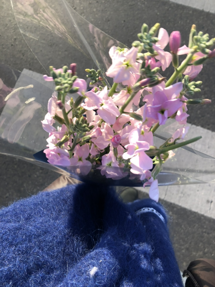 관심 유저 프로필 이미지