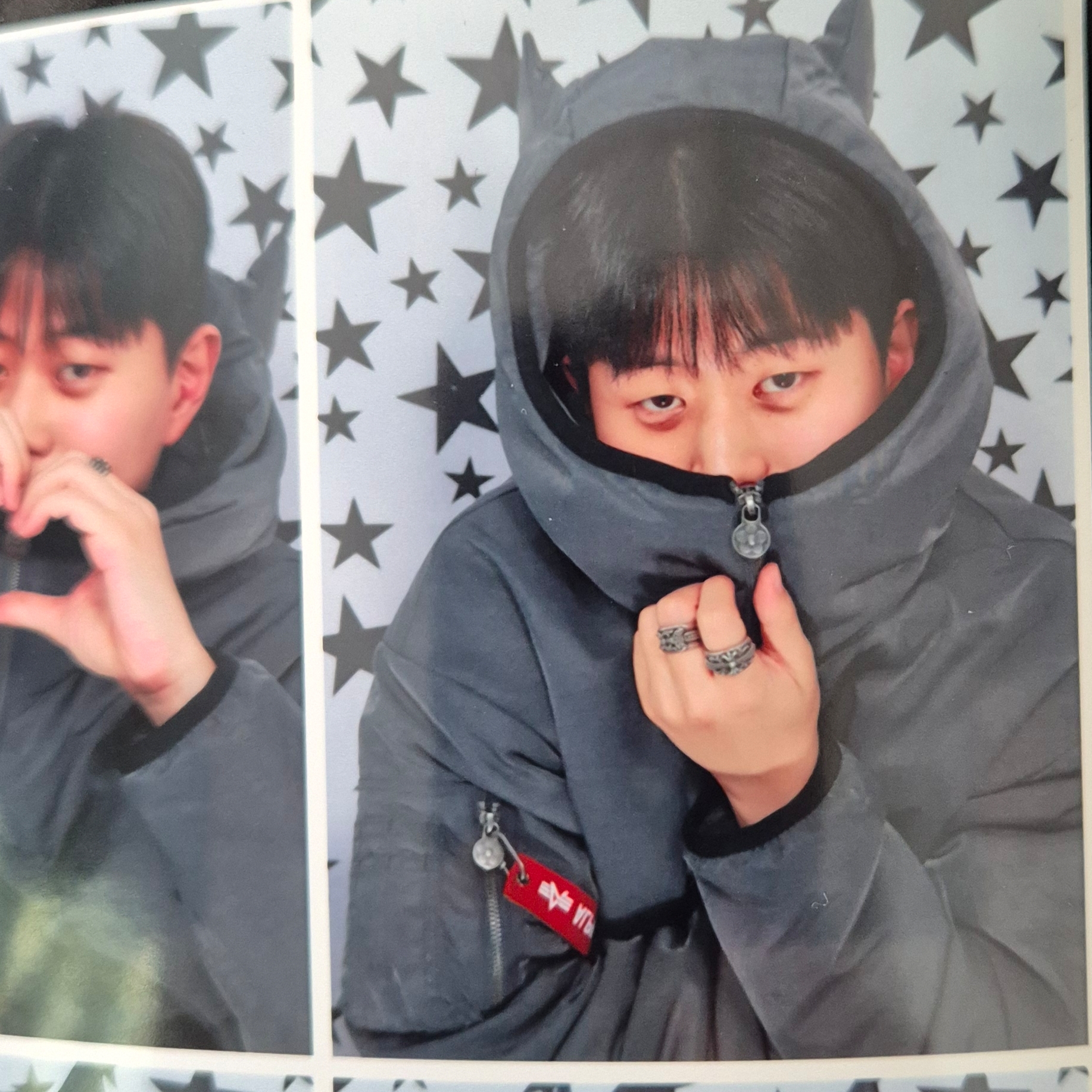 Vandy The Pink x Alpha Industries Animal Jacket Grey, Chrome Hearts Baby Classic Floral Cross Ring Silver 착용 스타일