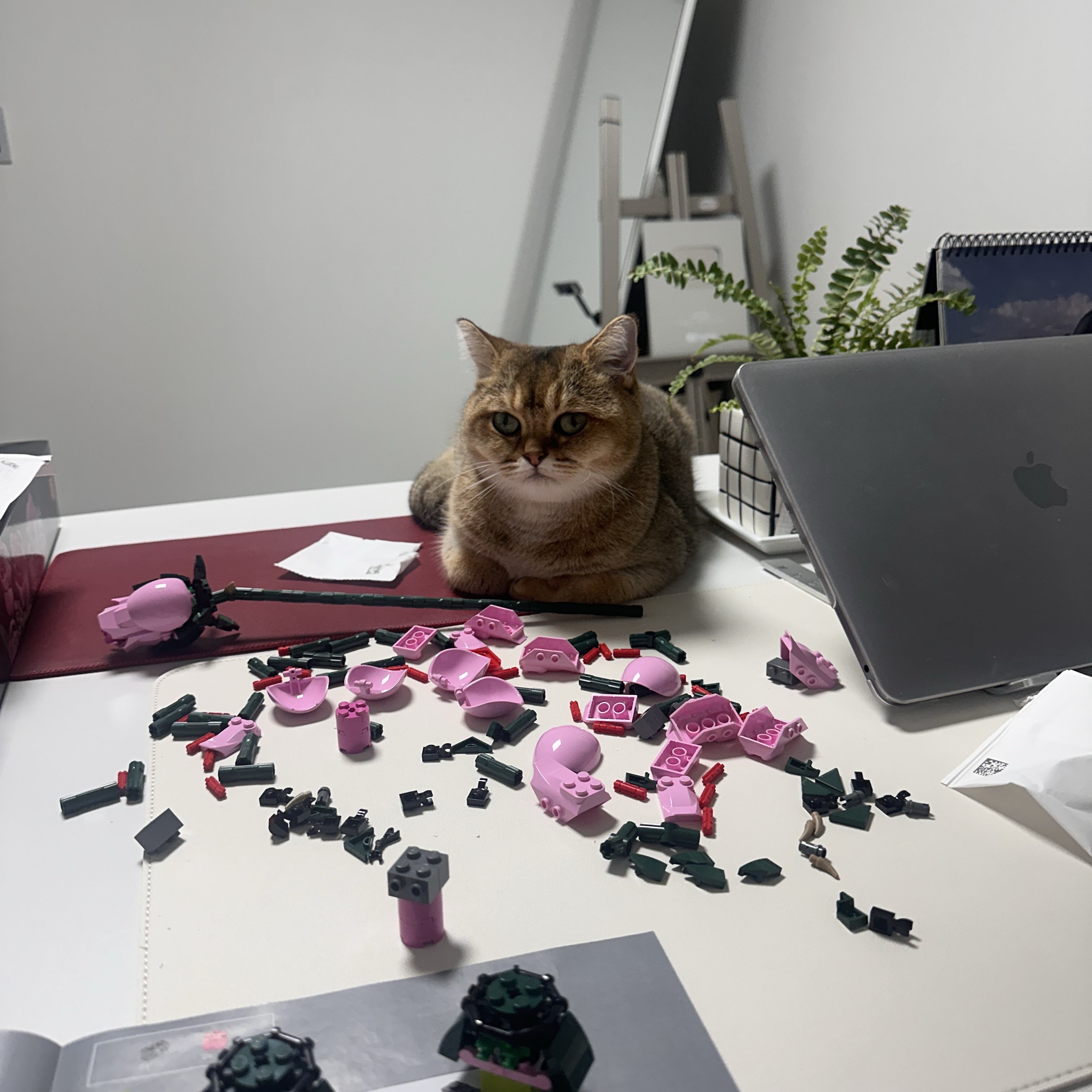 Lego Bouquet of Roses 착용 스타일 - 3