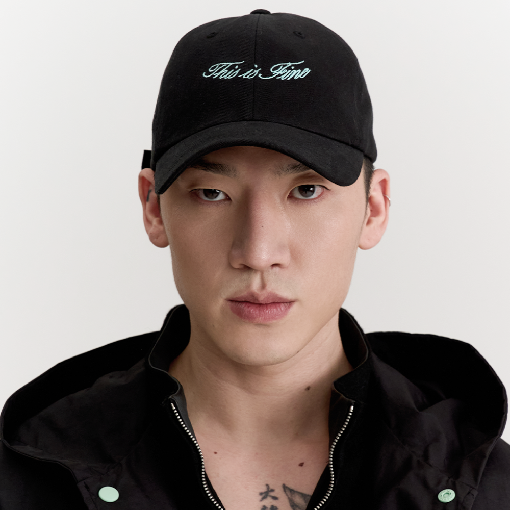 디스이즈파인 시그니처 볼캡 블랙(THIS IS FINE Signature Ball Cap Black) - 2